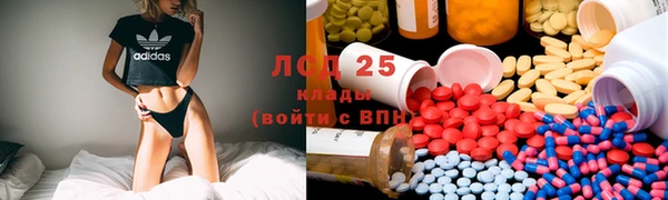 ешки Алзамай