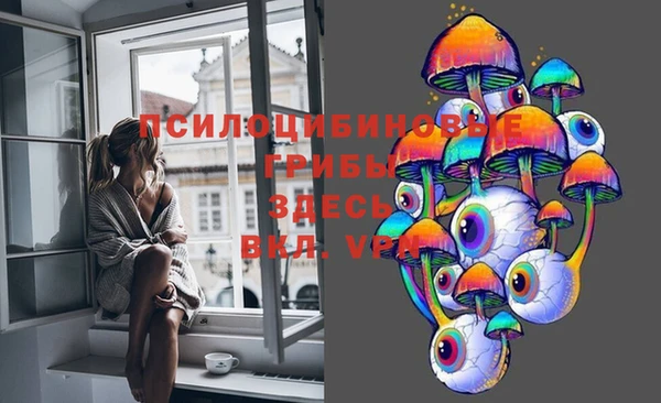 стаф Абаза