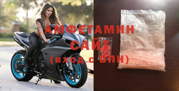 прущие грибы Гусев