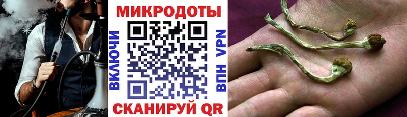 mega ссылка  Агрыз  Галлюциногенные грибы MAGIC MUSHROOMS  наркота 